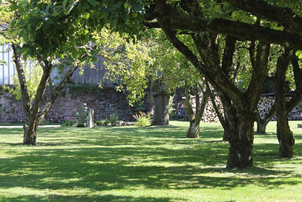 Le Lavoir Bed & Breakfast Peintre Bagian luar foto